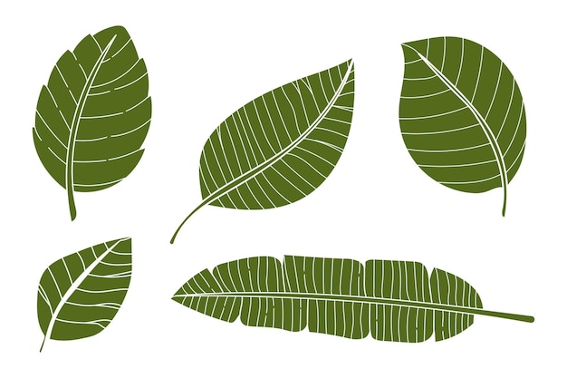 Ilustración vectorial de la colección de hojas verdes Conjunto de follaje tropical