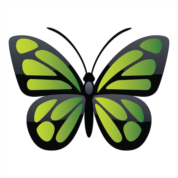 Ilustración vectorial de colección de mariposas aislada en fondo blanco