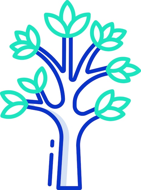 Ilustración vectorial en color del contorno de Dracaena Draco