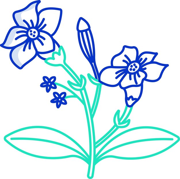 Ilustración vectorial en color del contorno sólido de las flores de Alakananda