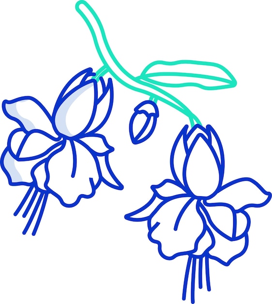 Ilustración vectorial de color del contorno sólido de las flores de fuchsia