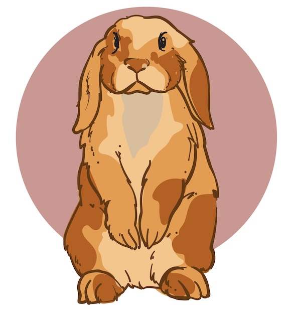 Ilustración vectorial de colores de conejo dibujada a mano