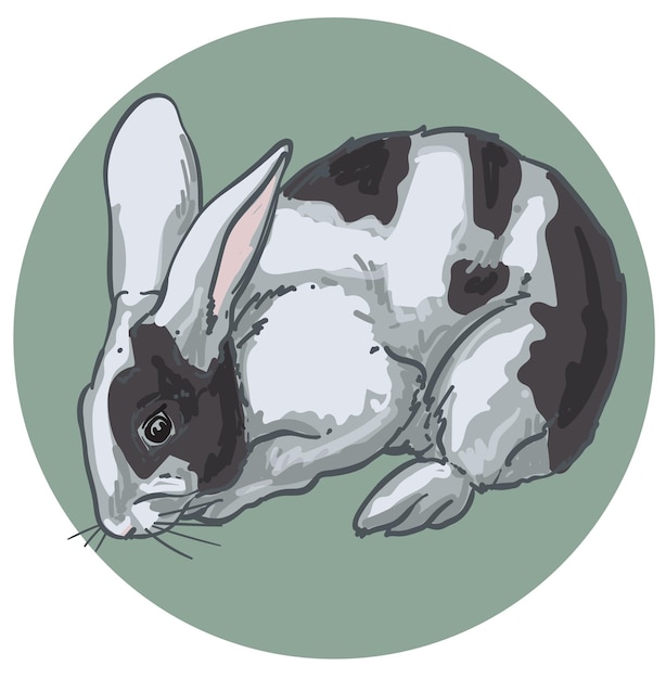 Ilustración vectorial de colores de conejo dibujada a mano