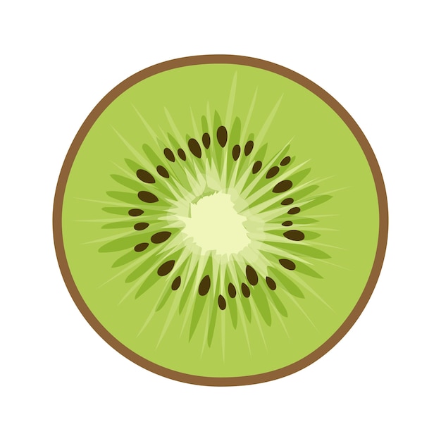 Vector ilustración vectorial colorida de cócteles de menta de kiwi y arándano en un estilo caprichoso