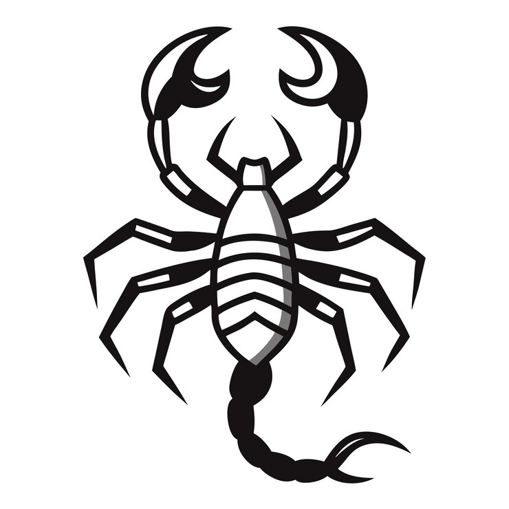 Vector ilustración vectorial colorida del insecto escorpión