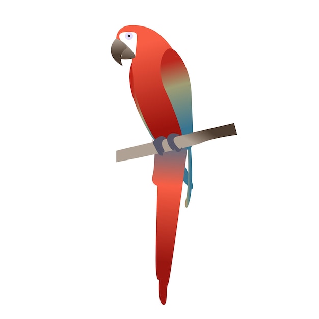 Vector ilustración vectorial colorido loro guacamayo. hermoso guacamayo. loro rojo de dibujos animados. pájaro tropical salvaje.