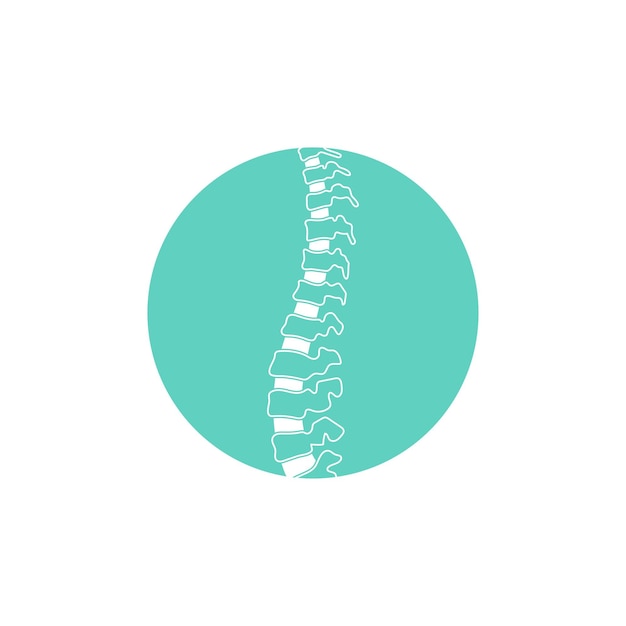 Ilustración vectorial de la columna vertebral humana
