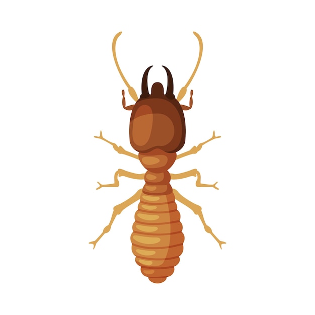 Ilustración vectorial del concepto de control y exterminio de plagas de insectos dañinos de las termitas en fondo blanco