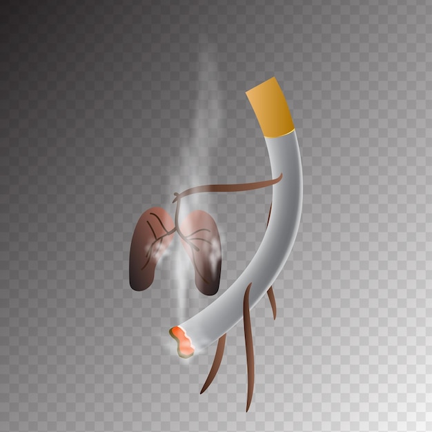 Ilustración vectorial del concepto de que fumar mata en un fondo transparente