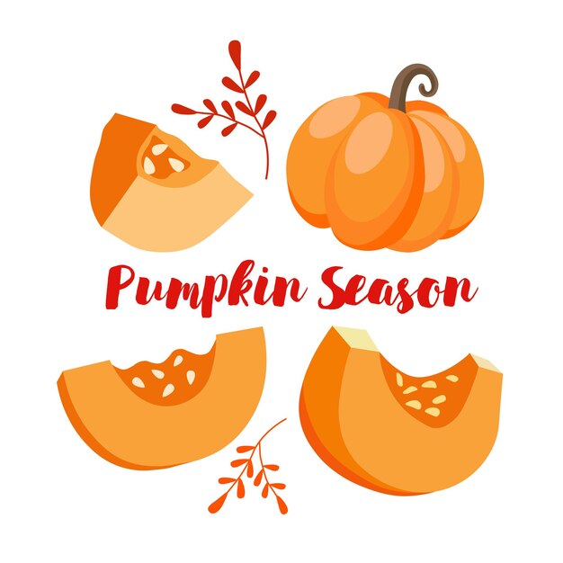 Ilustración vectorial del conjunto de calabazas de otoño