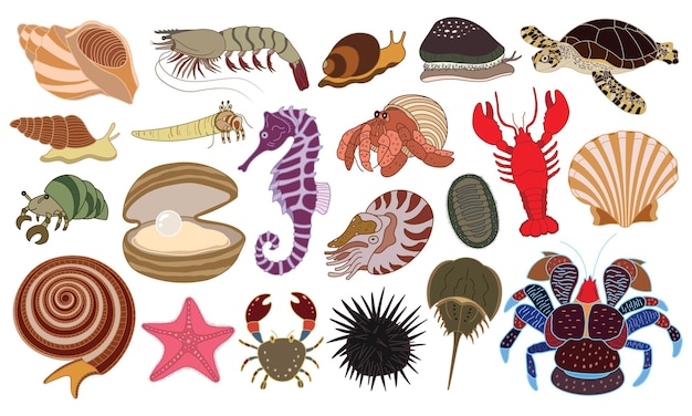 ilustración vectorial conjunto de criaturas submarinas dibujadas a mano cangrejo ermitaño langosta conchas caracol