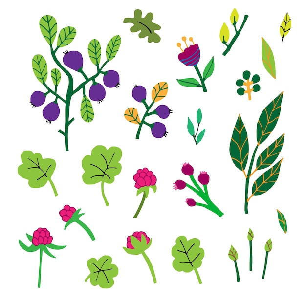 Ilustración vectorial de un conjunto de flores de hierbas del bosque musgos líquenes ramitas colección botánica