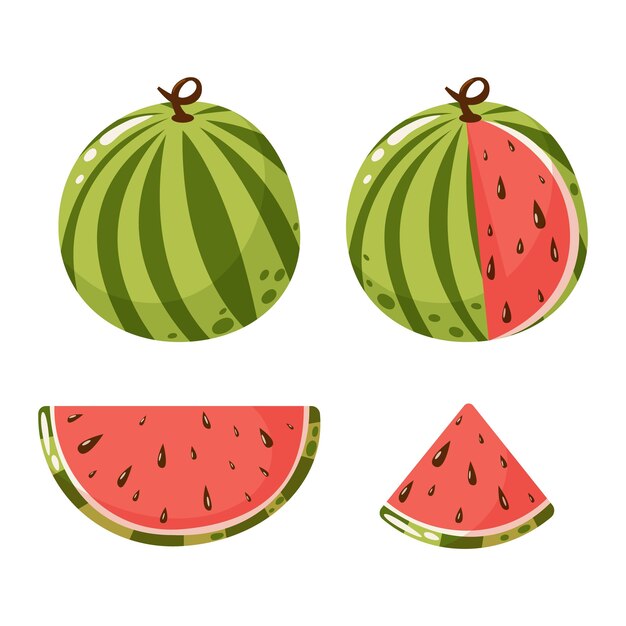 Ilustración vectorial del conjunto de frutas de sandía Rebanadas y frutas o bayas tropicales de verano enteras