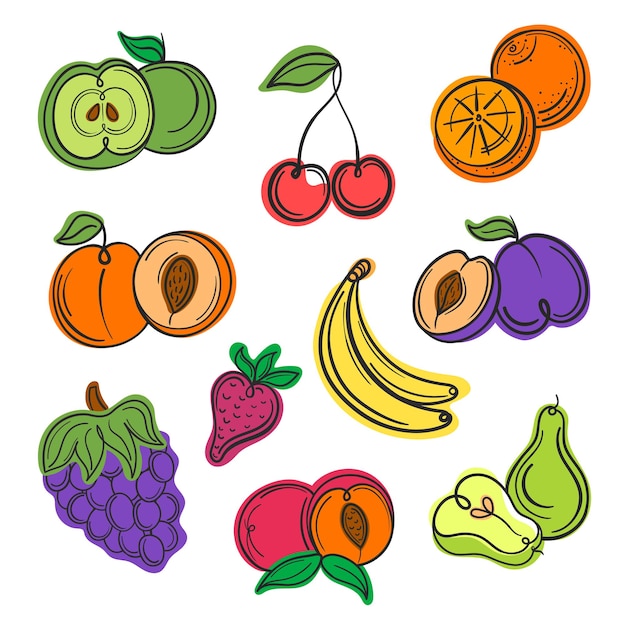 Vector ilustración vectorial conjunto de frutas de verano contorno de línea y fondo blanco abstracto