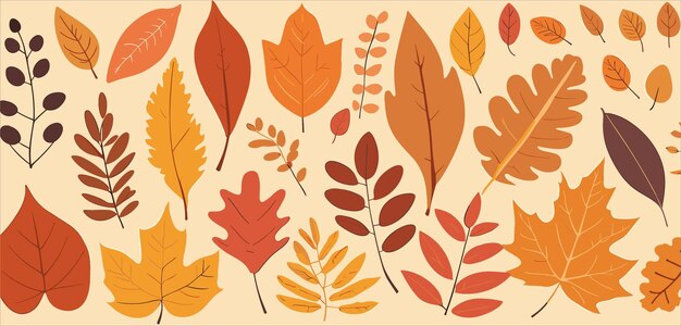 Ilustración vectorial conjunto hojas de otoño estilo de dibujos animados 2d plano