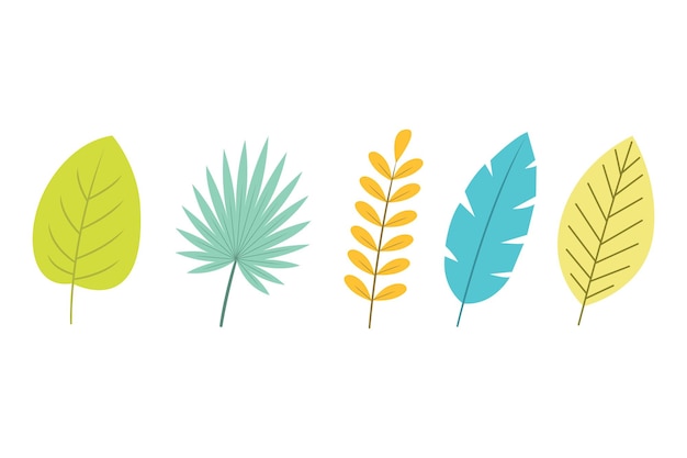 Ilustración vectorial de un conjunto de hojas tropicales
