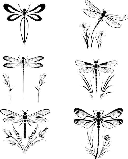 Ilustración vectorial del conjunto de logotipos de silueta de libélula