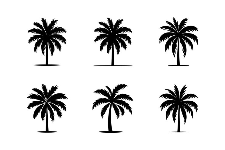Ilustración vectorial de un conjunto de palmeras negras aisladas en una silueta de fondo blanco