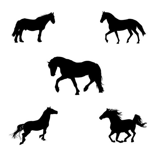 Ilustración vectorial del conjunto de siluetas de caballos