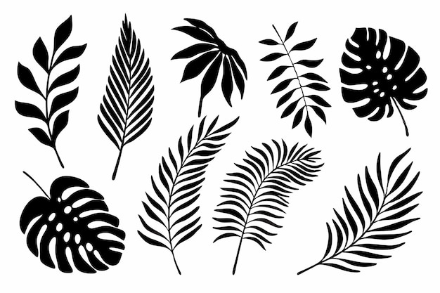Ilustración vectorial del conjunto de siluetas de hojas tropicales