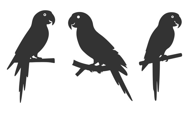 Ilustración vectorial del conjunto de siluetas de loro Formas de aves tropicales negras