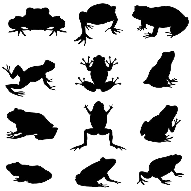 Vector ilustración vectorial del conjunto de siluetas de ranas