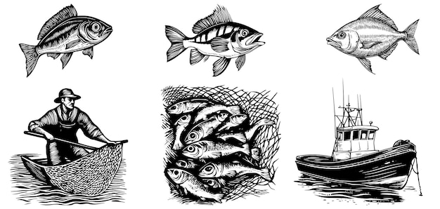 Ilustración vectorial Conjunto de un velero con un pescador y lleno de red de pesca Perch Carp Sketch