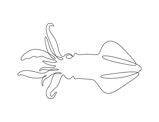 Ilustración vectorial continua de una línea de calamar sobre fondo blanco