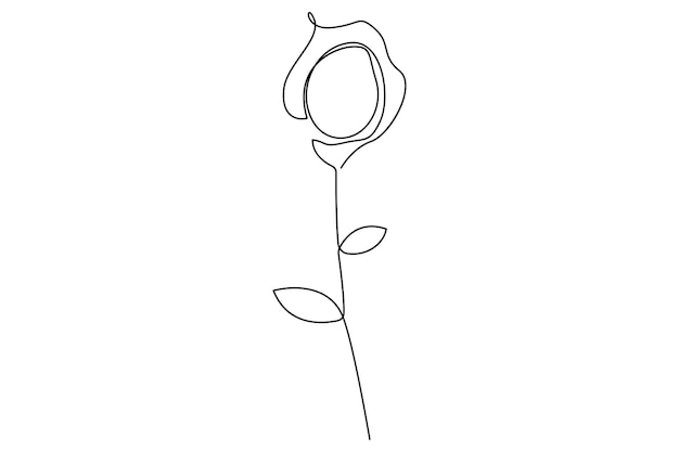 Ilustración vectorial de contorno aislado de la flor de rosa en una línea continua