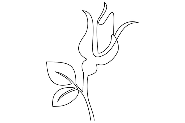 Ilustración vectorial de contorno aislado de la flor de rosa en una línea continua