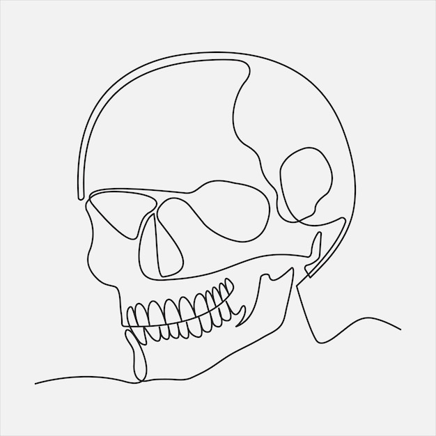 Ilustración vectorial del contorno del cráneo dibujada a mano