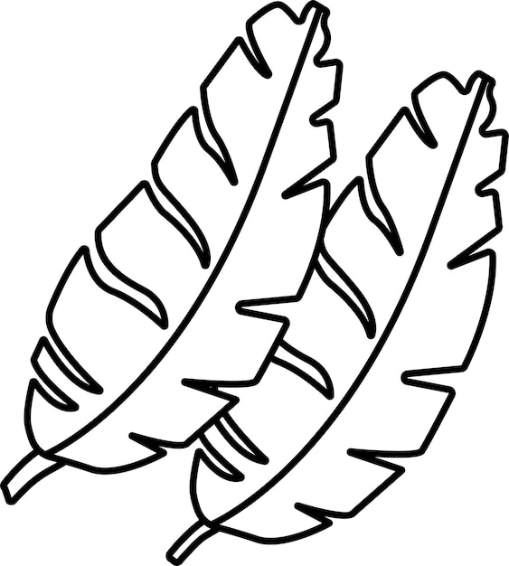Ilustración vectorial del contorno de la hoja de plátano
