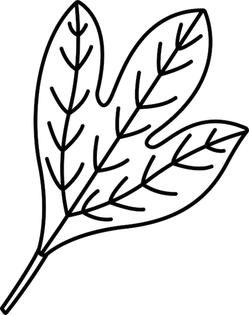 Vector ilustración vectorial del contorno de las hojas