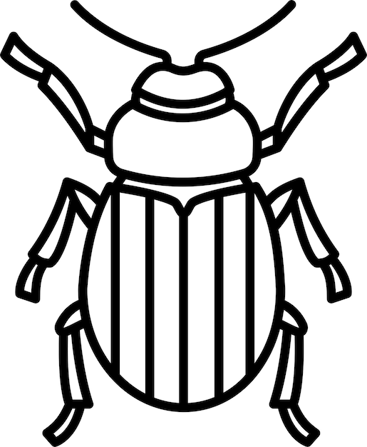 Ilustración vectorial del contorno de leptinotarsa decemlineatasolid