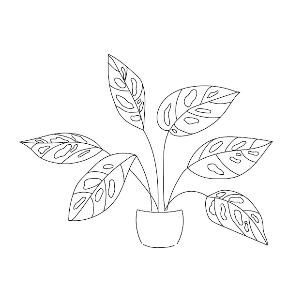 Ilustración vectorial contorno de la línea de la mano de la planta monstera en el fondo blanco