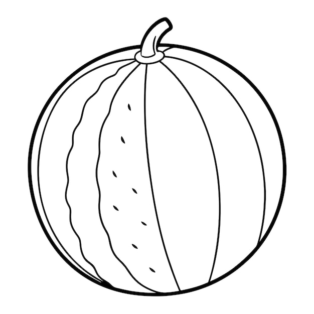 Ilustración vectorial del contorno del melón