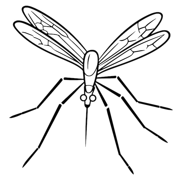 Vector ilustración vectorial de un contorno de mosquito minimalista para el diseño