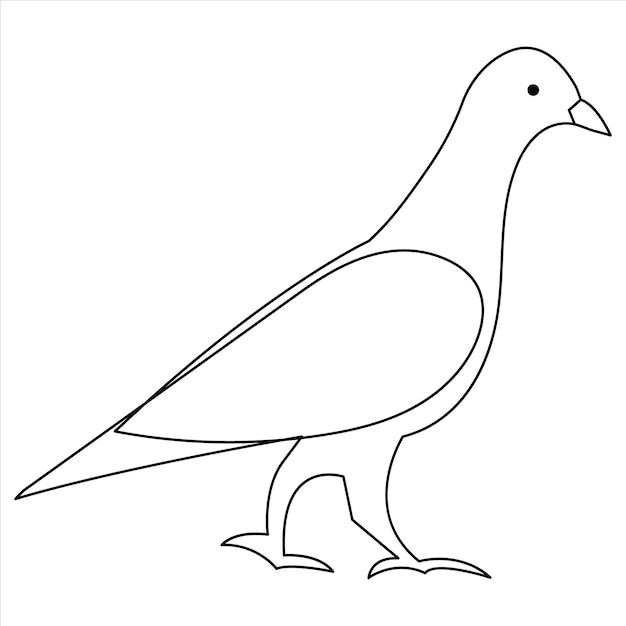 Ilustración vectorial de contorno de paloma de mascota y diseño minimalista