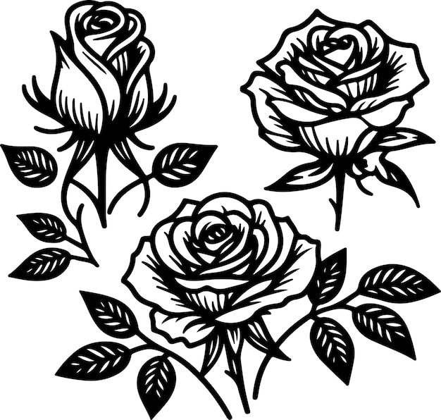 Ilustración vectorial de contorno de rosas negras estilo minimalismo