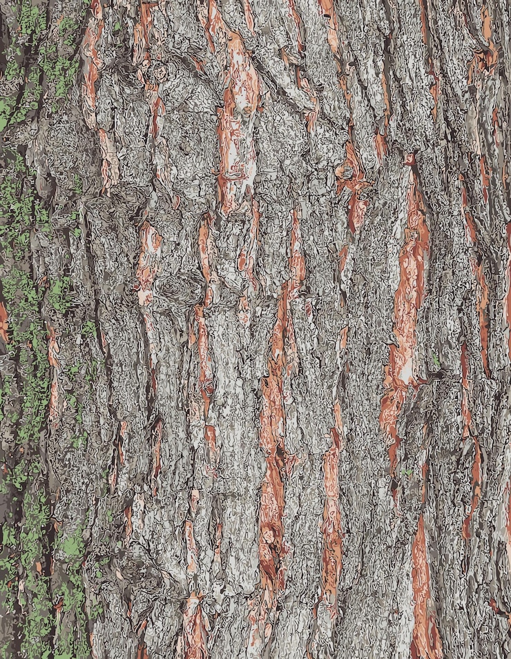Vector ilustración vectorial de la corteza de arce de primer plano el nombre latino es acer saccharum textura del barril de acer