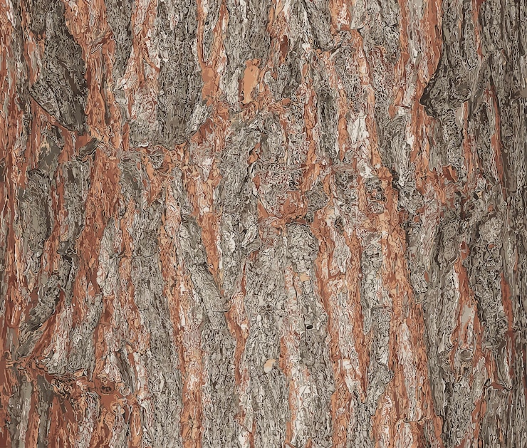 Vector ilustración vectorial de la corteza de arce de primer plano el nombre latino es acer saccharum textura del barril de acer