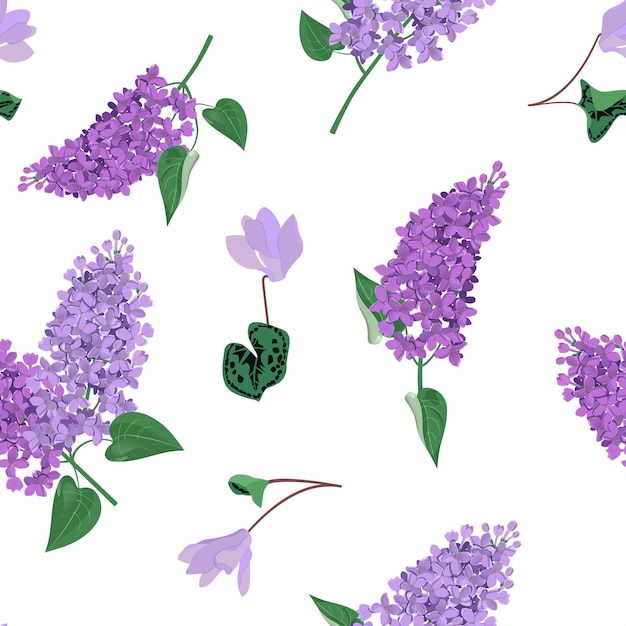 Ilustración vectorial sin costuras con lilas y ciclamens en flor sobre un fondo blanco v