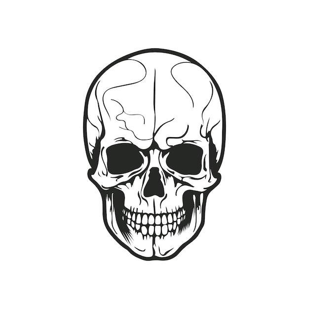 Ilustración vectorial del cráneo dibujada a mano