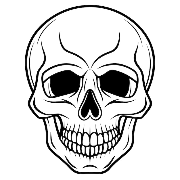 Ilustración vectorial del cráneo sobre fondo blanco de alta calidad
