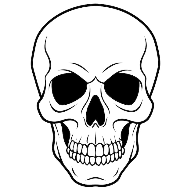Ilustración vectorial del cráneo sobre fondo blanco de alta calidad