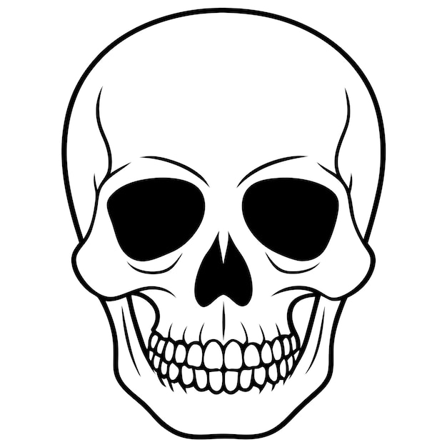Ilustración vectorial del cráneo sobre fondo blanco de alta calidad