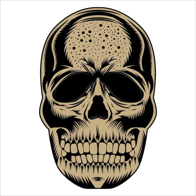 Ilustración vectorial del cráneo