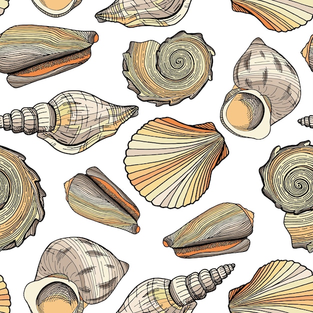 Ilustración vectorial creativa del diseño de patrones de conchas marinas