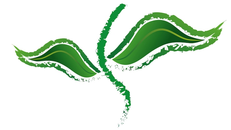 Vector ilustración vectorial creativa de una planta con dos hojas verdes y tallo sobre fondo blanco