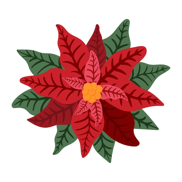 Ilustración vectorial de decoración de Navidad o Año Nuevo de la flor y la hoja de la estrella de Poinsettia roja aislada